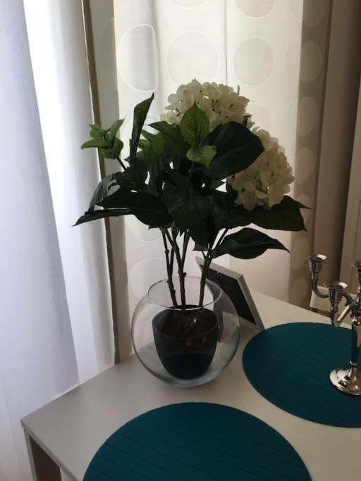 Apartment 1 Center Coimbra Zewnętrze zdjęcie